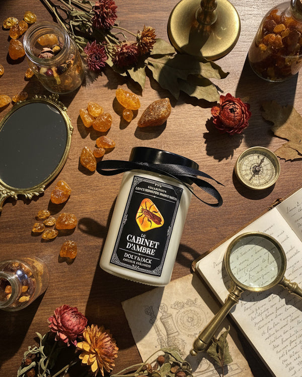 Bougie « Le Cabinet D'Ambre »